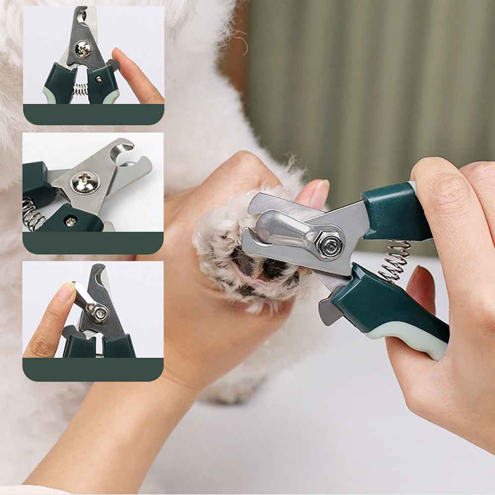 Professional Dog Grooming Kit — Cordless Clippers & Full Set