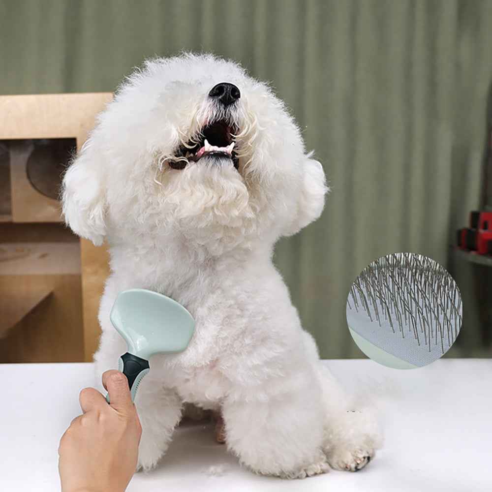 Professional Dog Grooming Kit — Cordless Clippers & Full Set