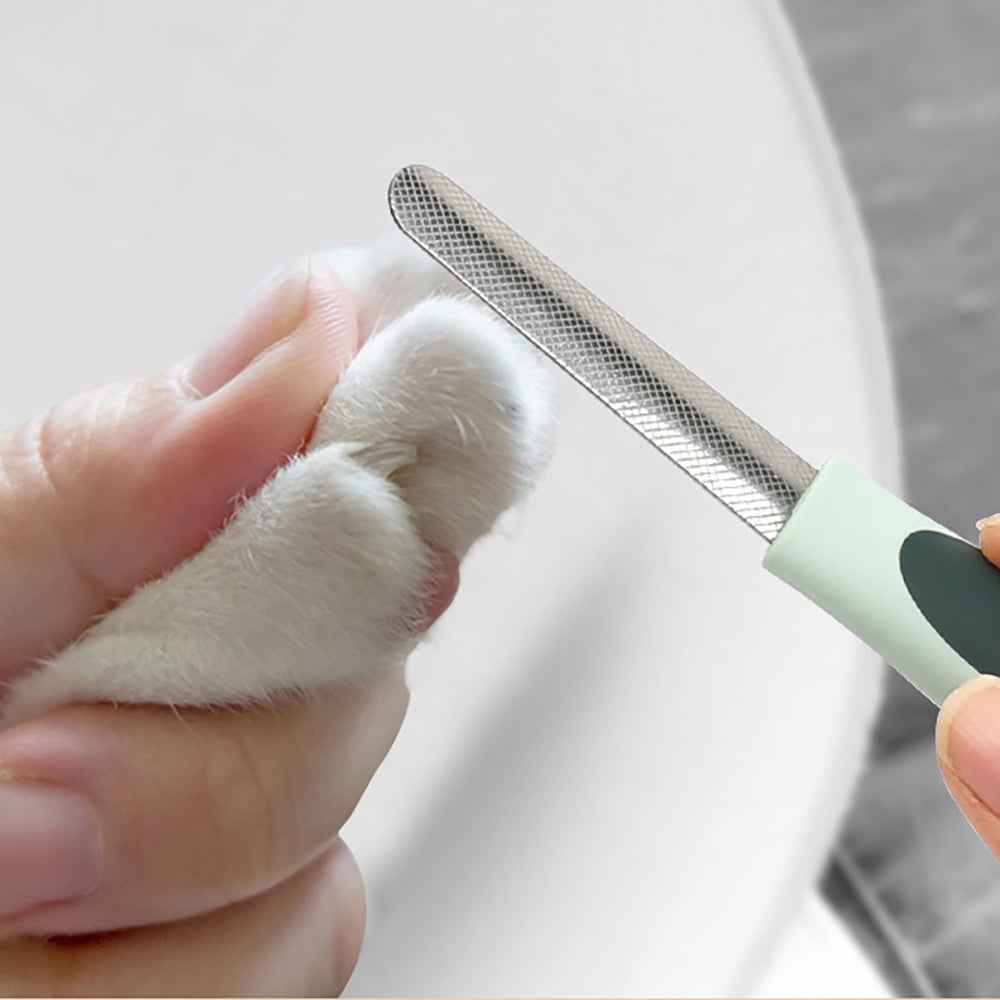 Professional Dog Grooming Kit — Cordless Clippers & Full Set