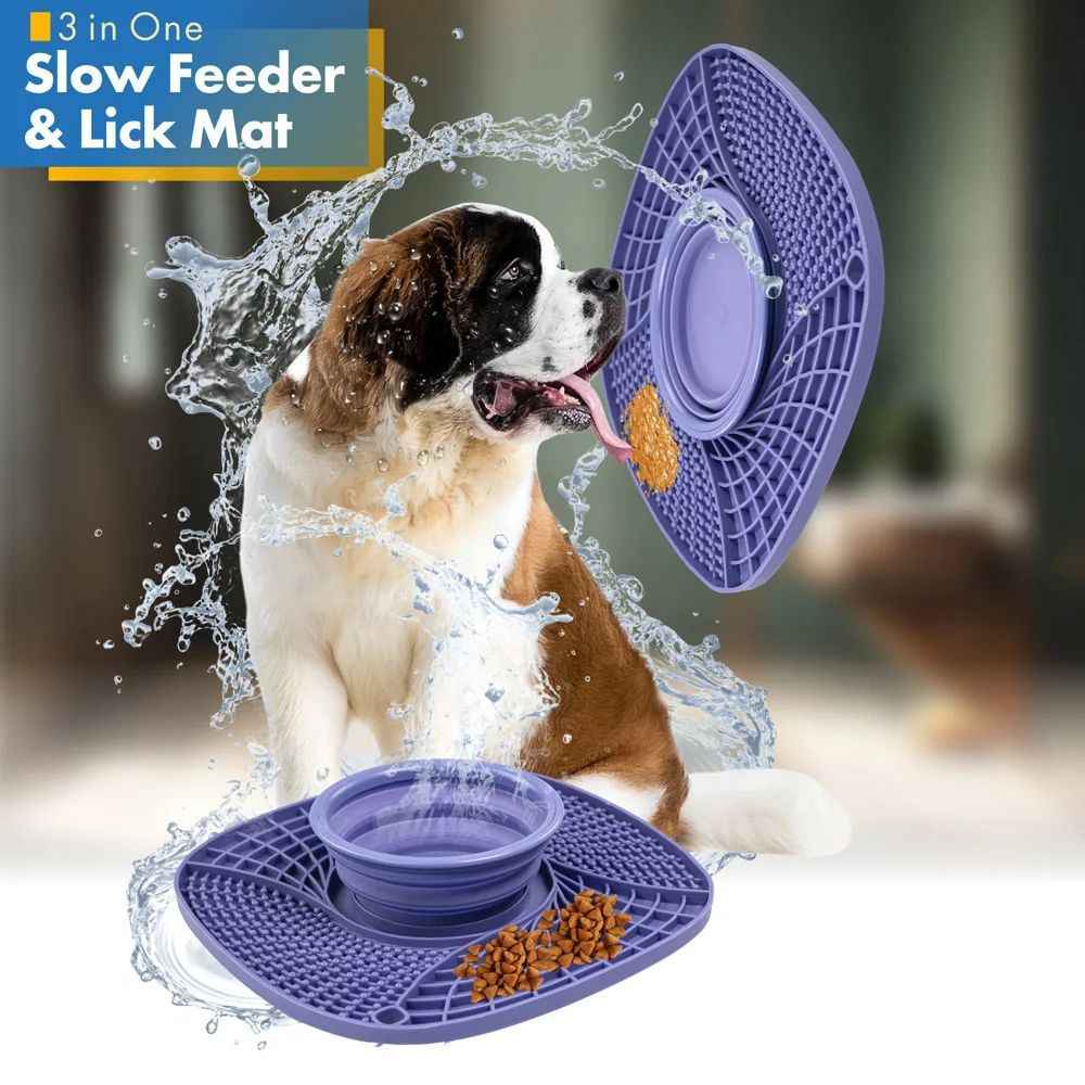 Non-Slip Slow Feeder Bowl — Anti-Gulping Puzzle Dish for Dogs & Cats