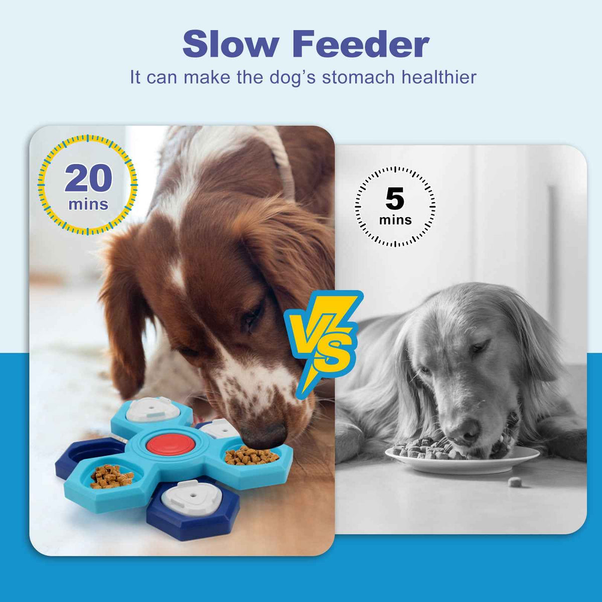4-Layer Puzzle Slow Feeder Bowl — IQ Training for Dogs