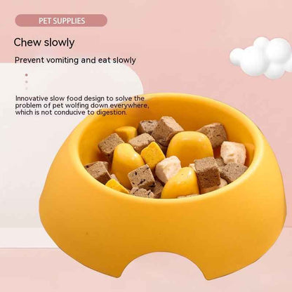 Slow Feeder Dog Bowl — Anti-Gulping Puzzle Dish
