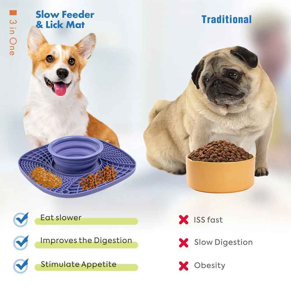 Non-Slip Slow Feeder Bowl — Anti-Gulping Puzzle Dish for Dogs &amp; Cats