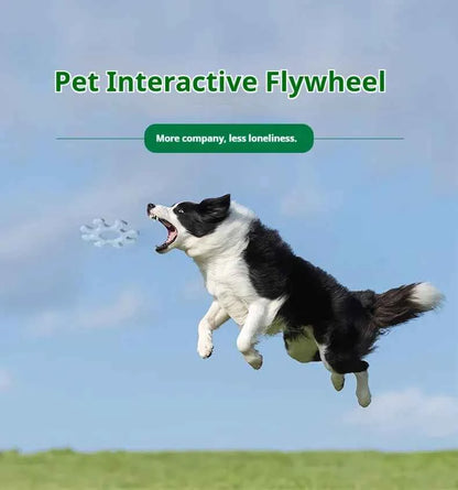 Interactive Dog Flywheel Toy — Food-Grade Silicone