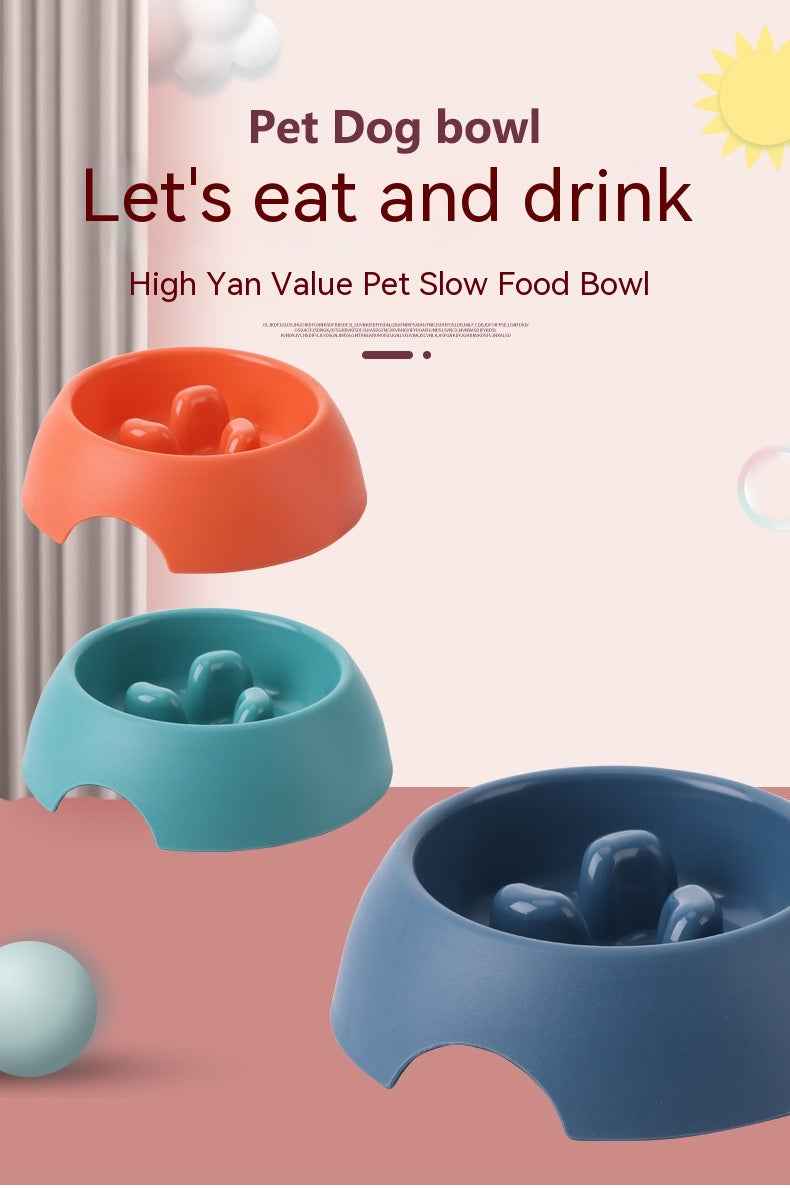 Slow Feeder Dog Bowl — Anti-Gulping Puzzle Dish